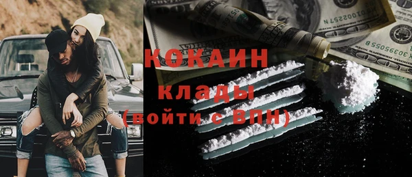 ГАЛЛЮЦИНОГЕННЫЕ ГРИБЫ Новозыбков